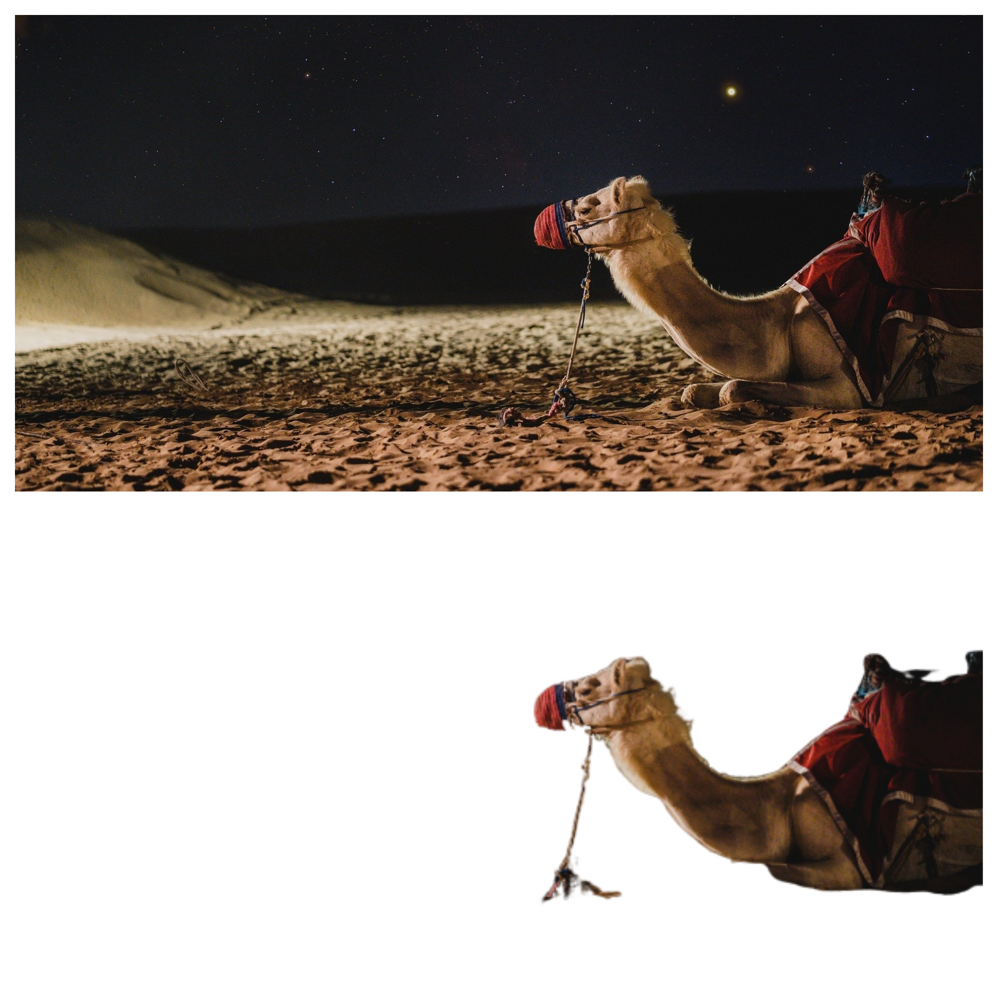 I will do 100 background removal images in 24 hours