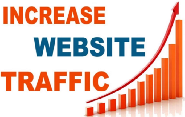 I will send real human traffic to your link