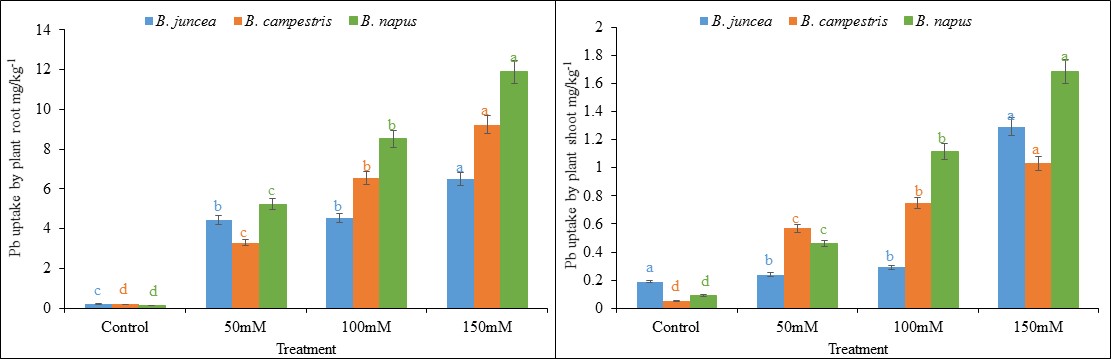 I will create 3 charts, graphs and formulas in excel