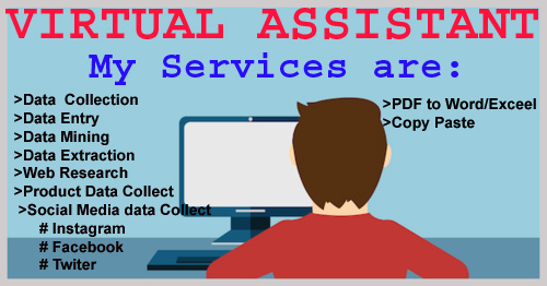 I will be an ideal virtual assistant, data entry, web research, copy paste