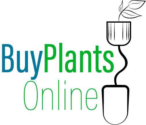 I will design logo for your brand