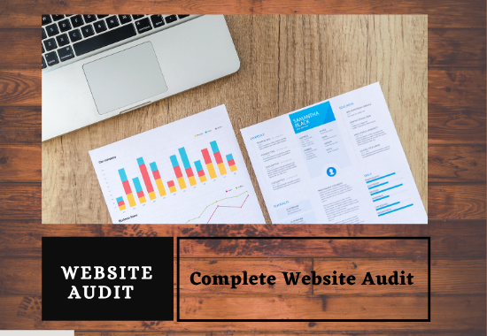 I will provide an expert website audit report in 24 hours.