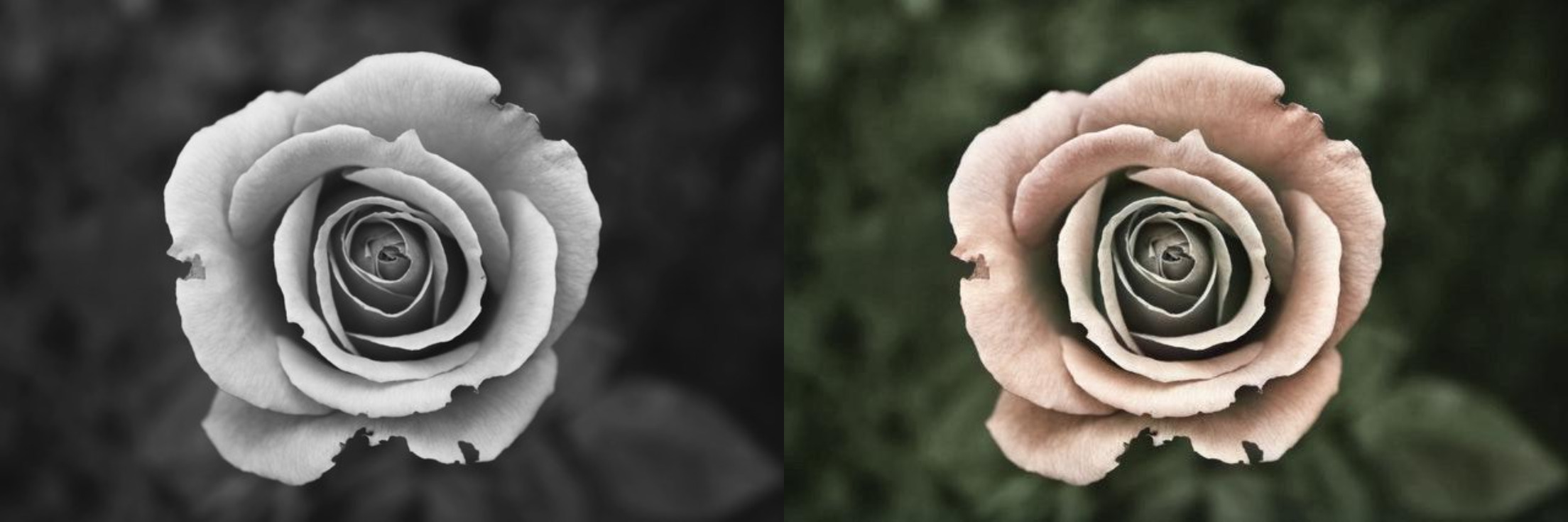 I will restore, fix old photos and colorize black and white photos