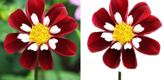 I will do photoshop editing ,background removal and picture retouching