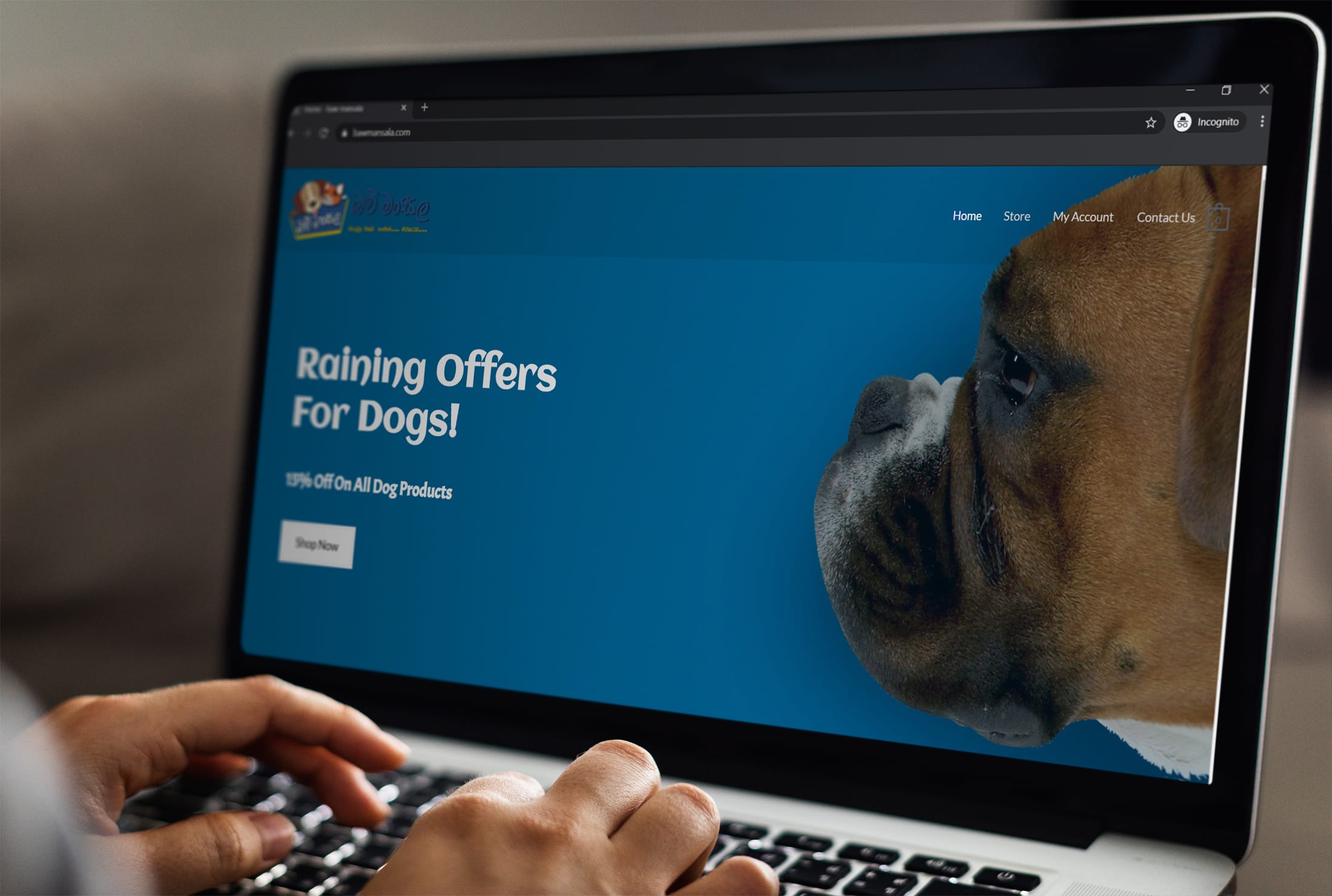 I will create a responsive and professional wordpress website