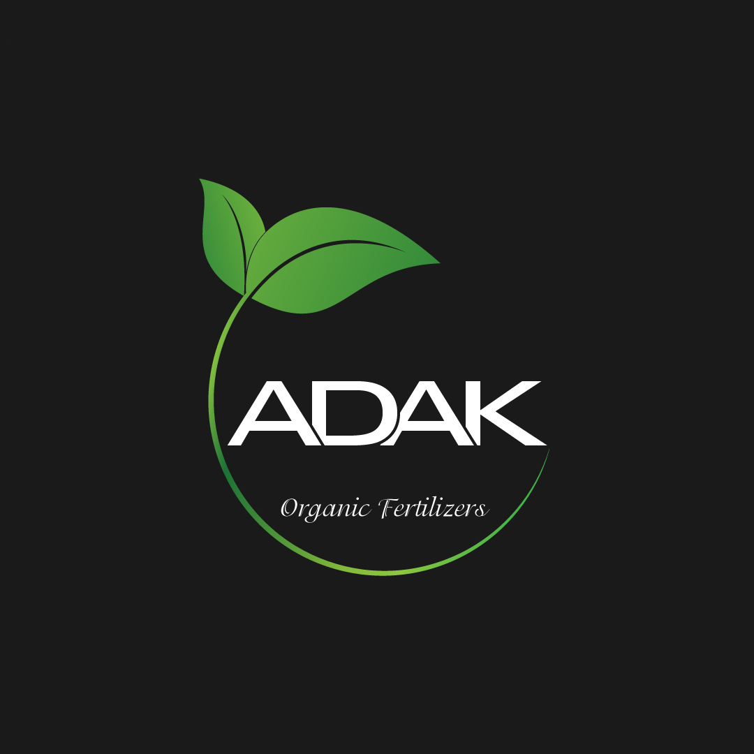 i can design logos and brands professionaly