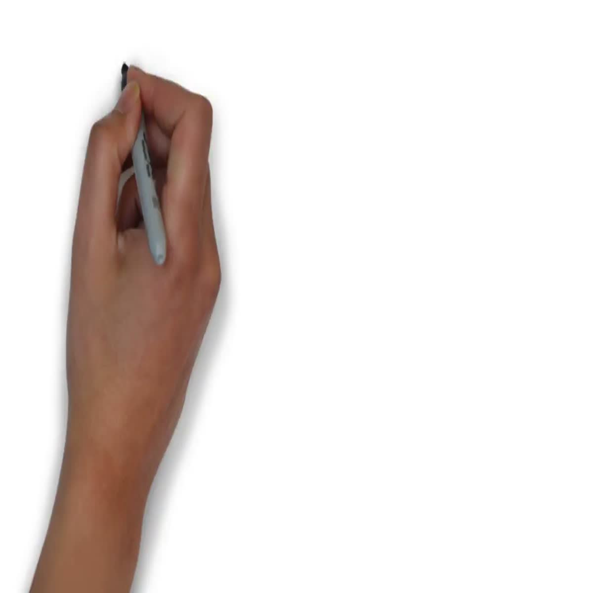 I will create a professional whiteboard animation video