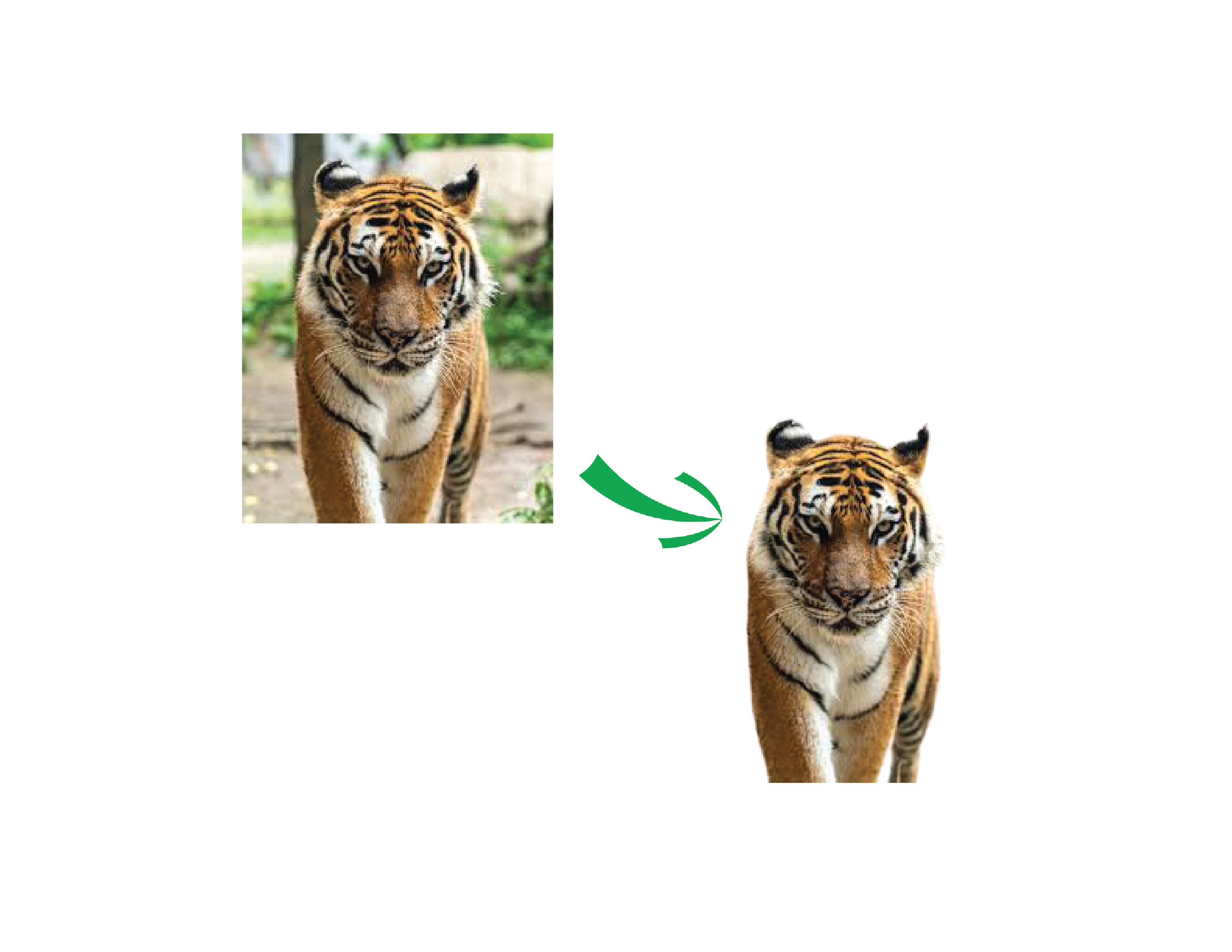 I Will do remove background from your photo