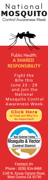 Will provide you only the best online publication banners for you