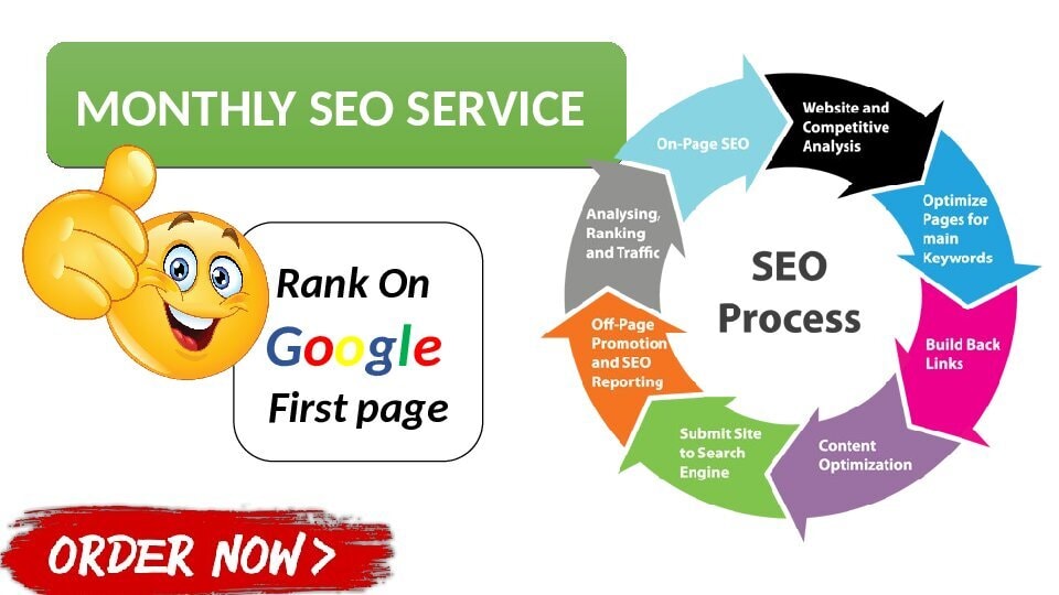 I will do monthly SEO service, improve traffic and b...