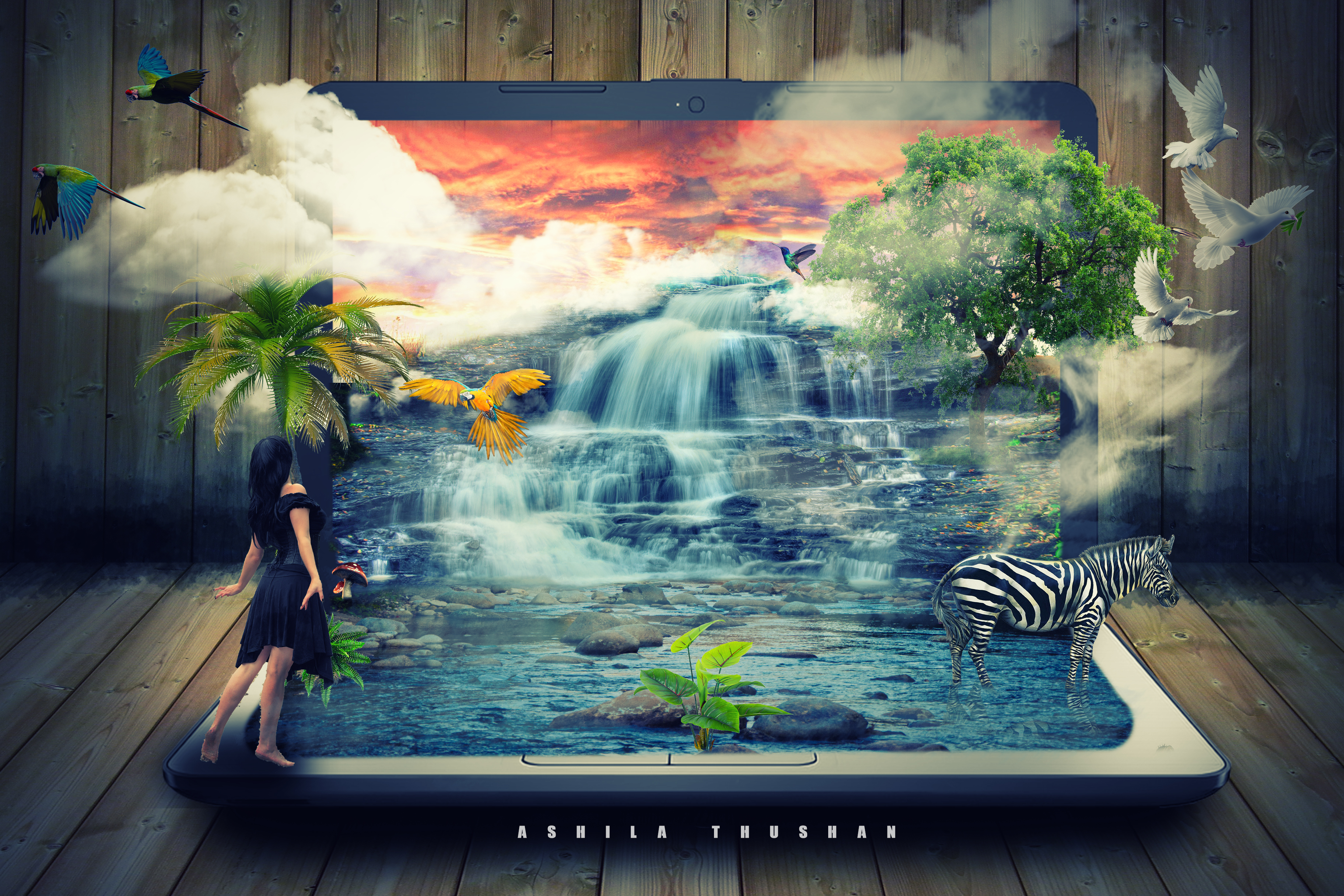 Remove Background Smoothly & quickly,Deliver within 24 Hours