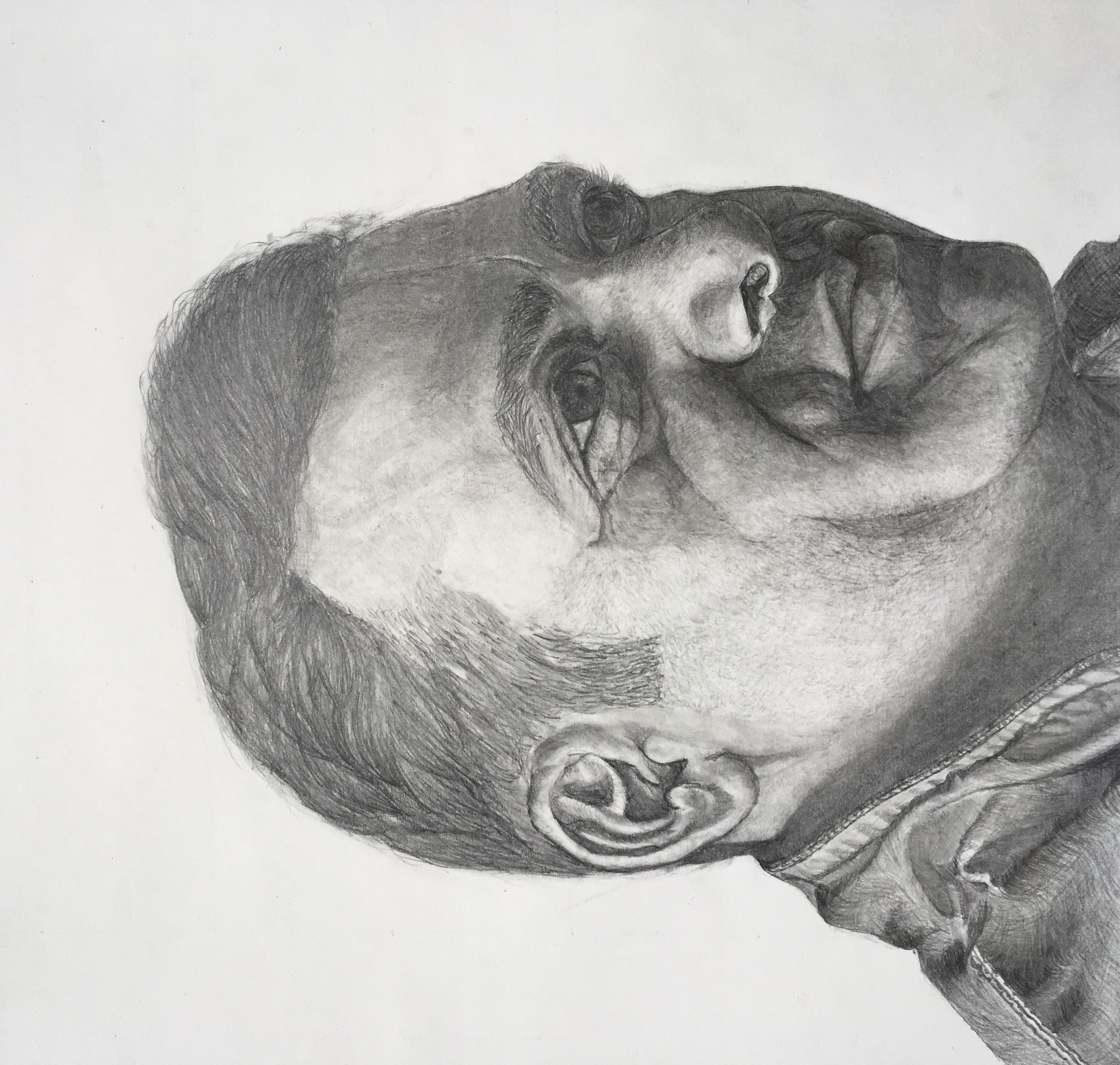 i will create illustrations for my clients depending upon their requirement.