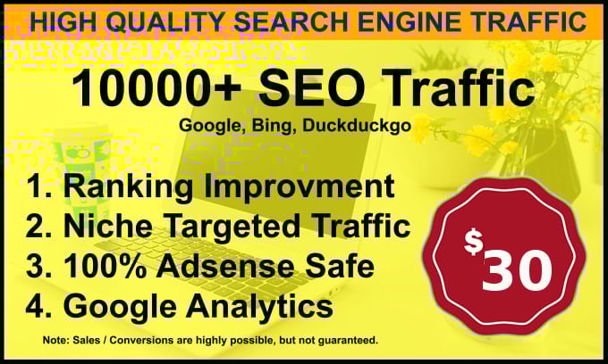 I will send 10,000 Visitors low bounce natural web traffic, from the USA 