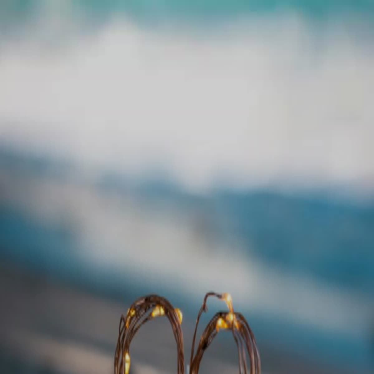 I will create a 30-45 second introductory text animation