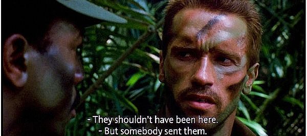 I will add captions or subtitle with white bars on your video