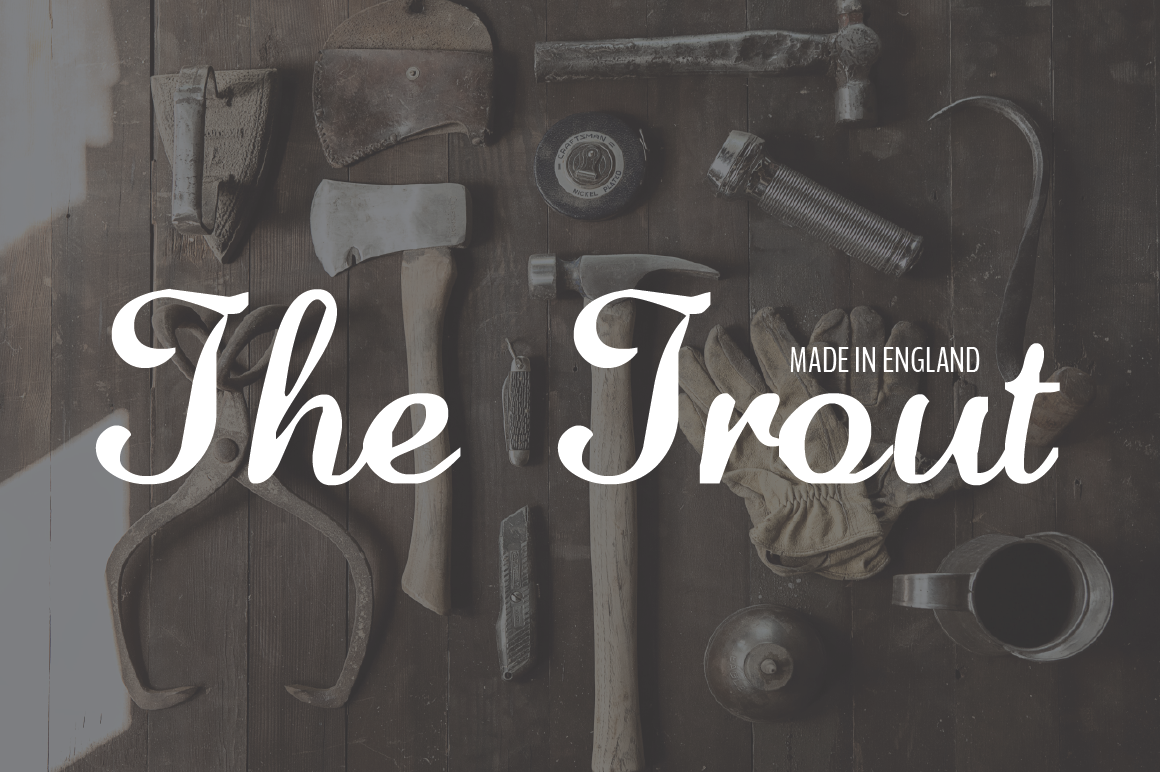 I will Design a Charming Handwritten Logo