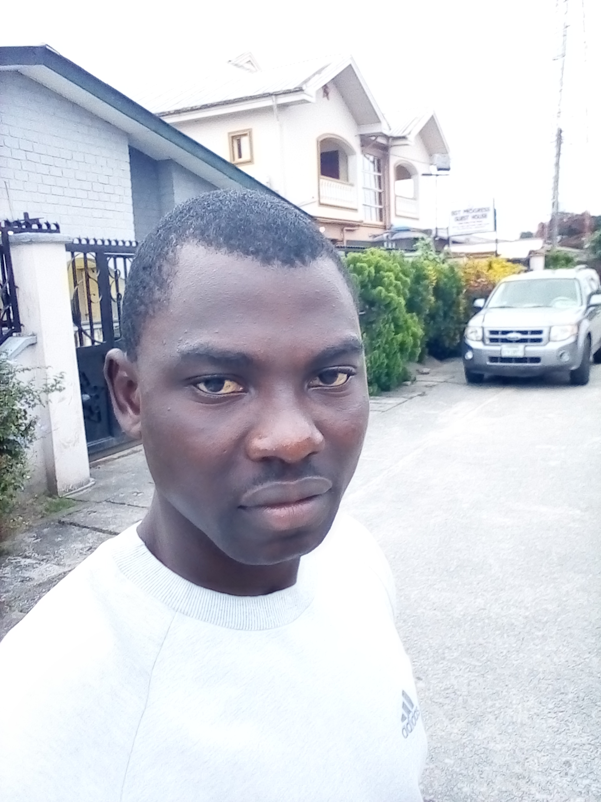 Picture/Photo Background Removal/Picture Coulorist