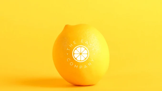 I will make any logo design you want