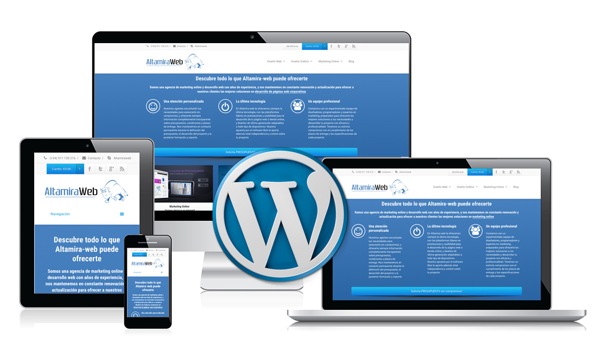 I will develop a professional wordpress website design