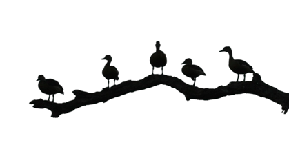 remove any photo backgroungd 100 photoes with in 24 hours