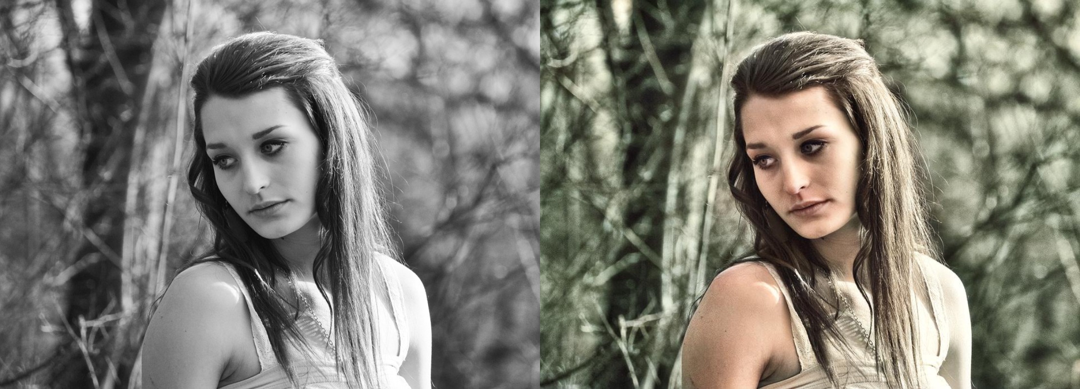 I will colorize your valuable black and white photos and repair damaged areas