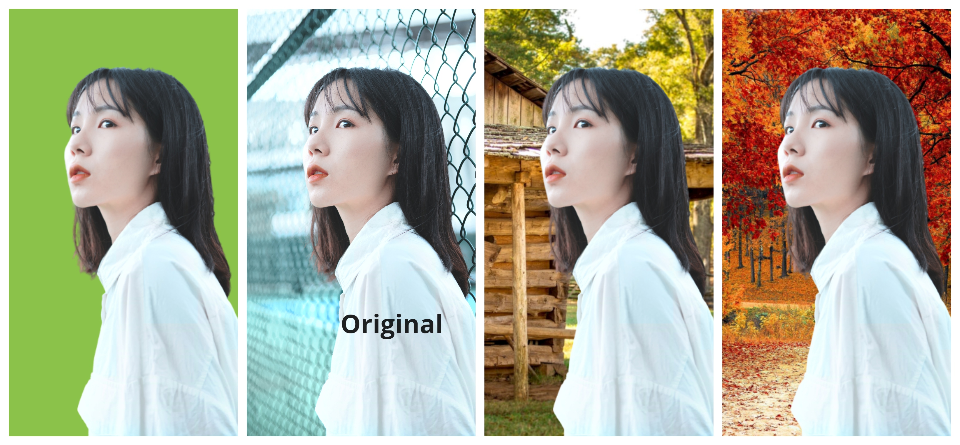 Elevating your imagination. Bringing it all to life