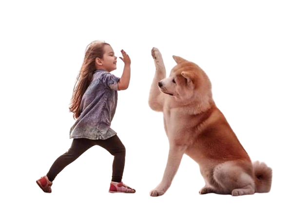 I will Black Ground remove and colourise white and black and photo editing 10 image