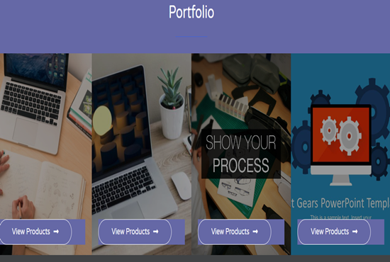 I will offer install wordpress theme setup demo and customize ,plugin within 24 hour