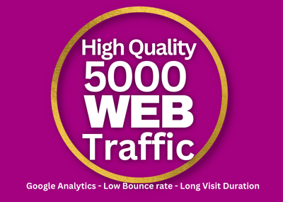 High Quality USA 5000+ web traffic google analytics l...