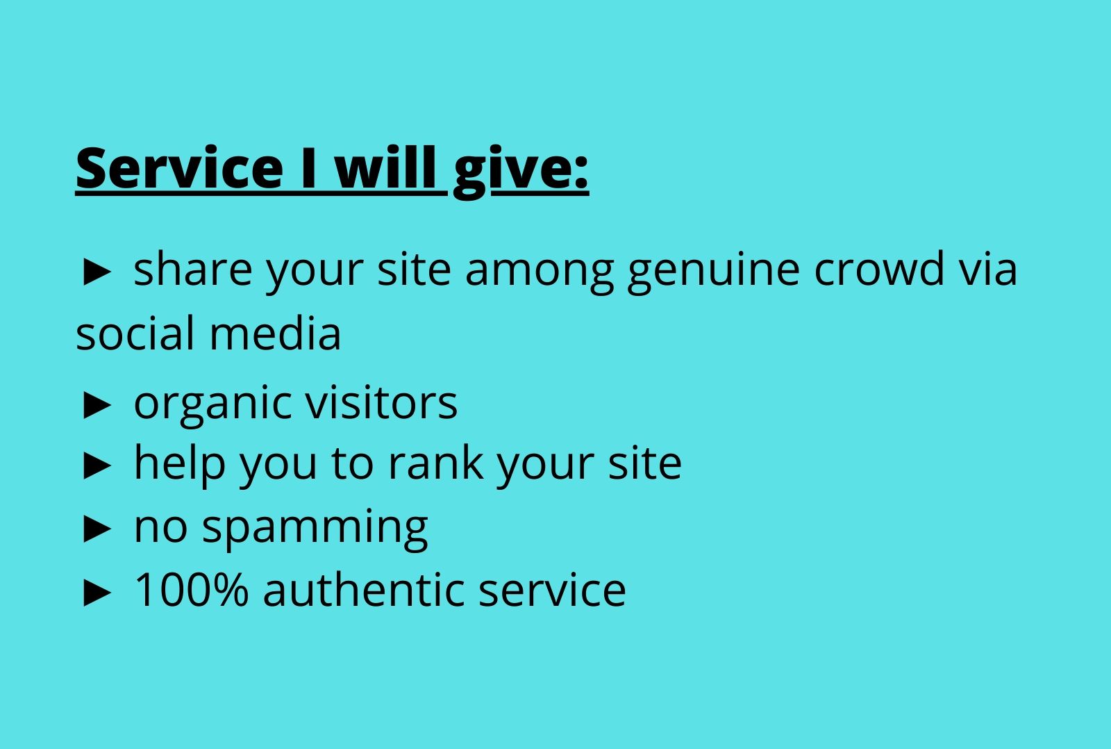 I will do website promotion for you 