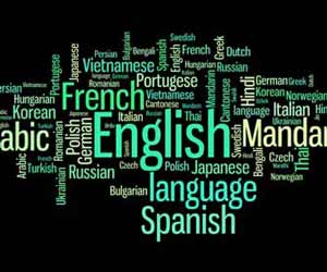 I will translate one language into multi languages