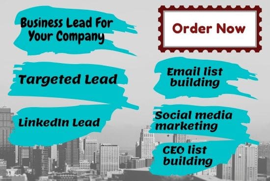 I will collect B2B company lead for you and your company