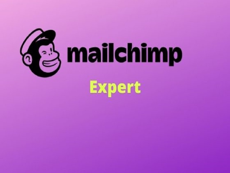 I will provide 1000 targeted verified email list and other email marketing services