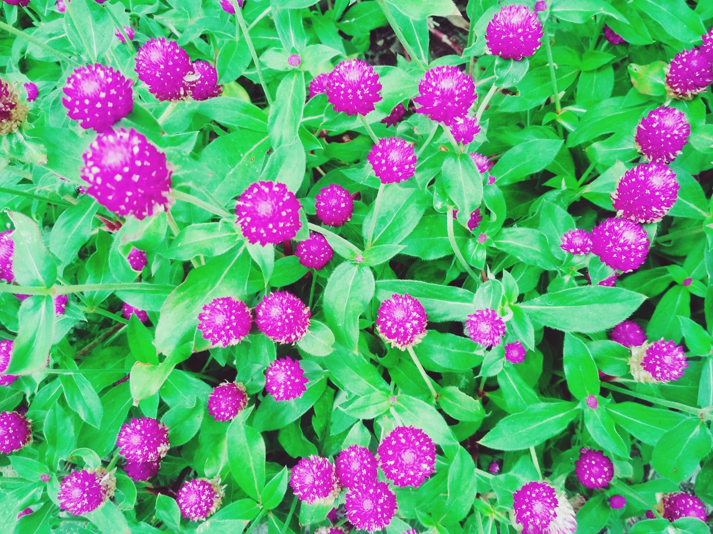 As a banner, photo and video design maker, we will be as good and creative as we can, because custom