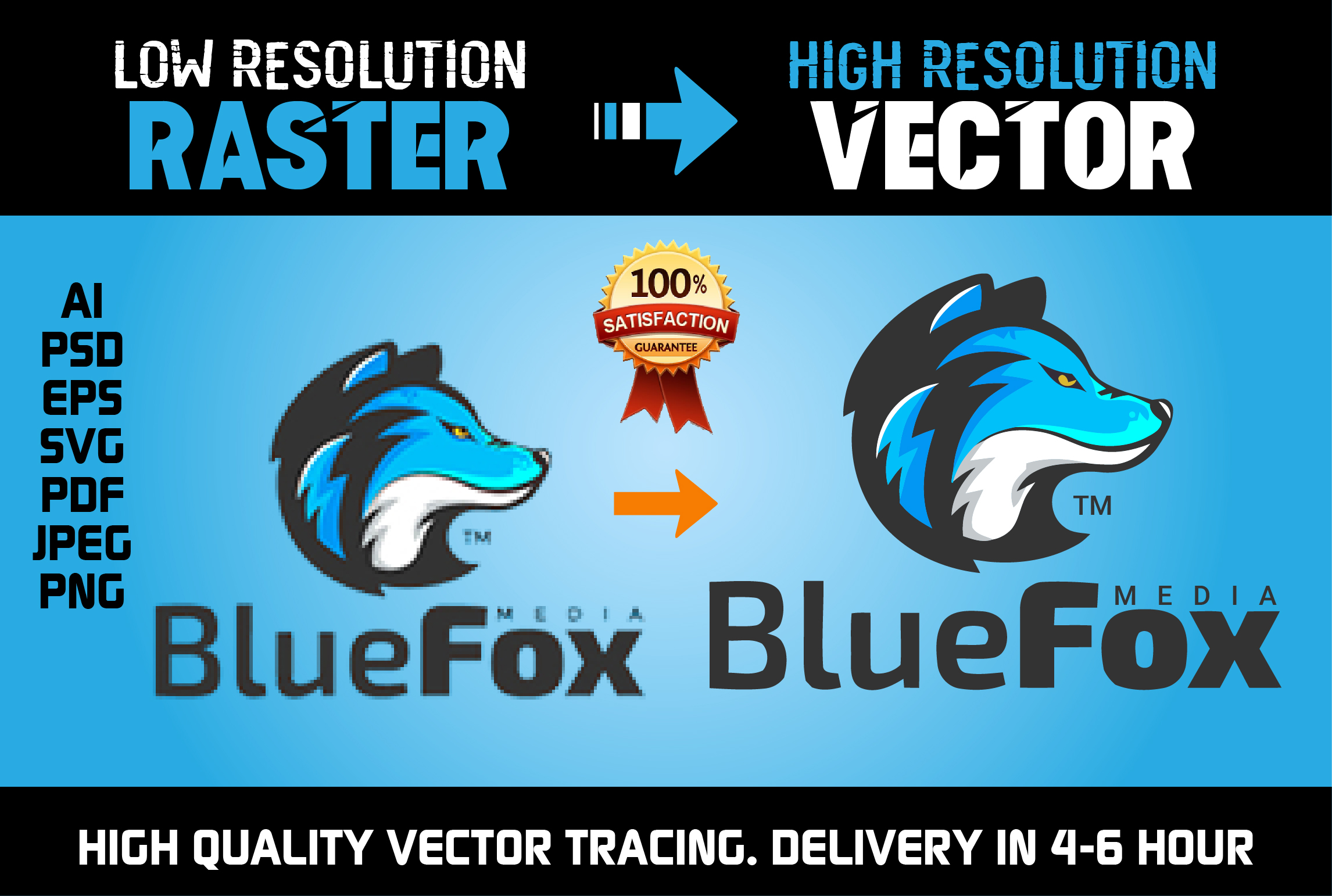 I will do Vector Tracing, Redraw or Convert Raster to Vector Manually in 12H