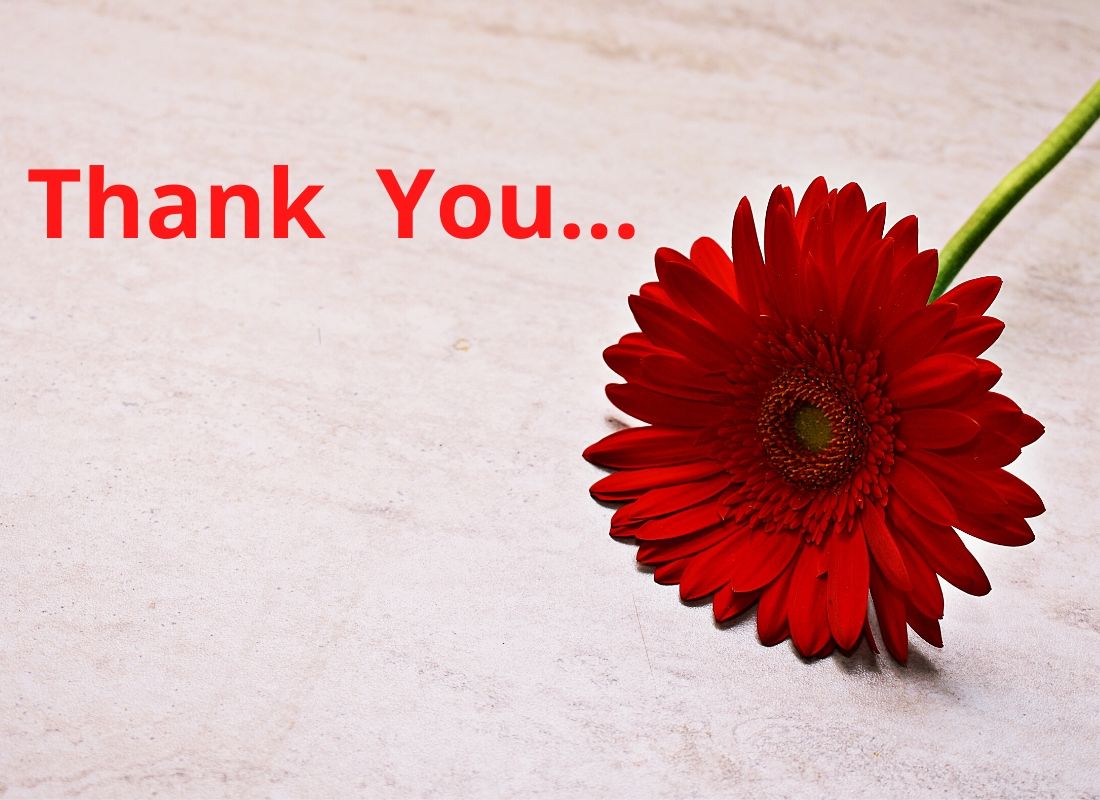 I can do your Data Entry or WEB Research work successfully