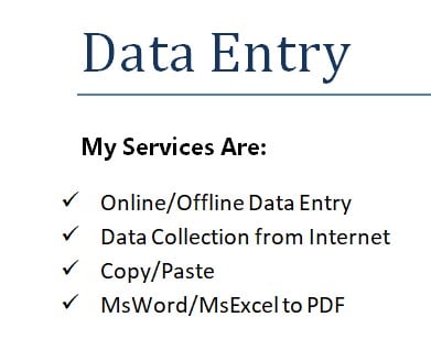 Any Kind of Data Entry in MsWord & MsExcel