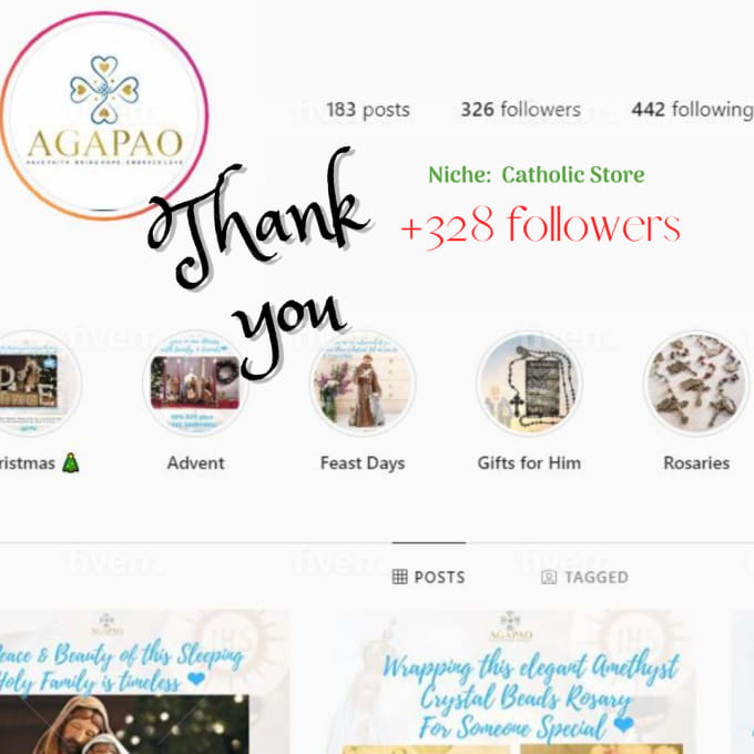 professionally manage and promote your instagram