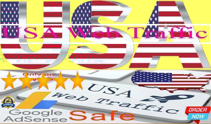 USA web traffic for your website in time