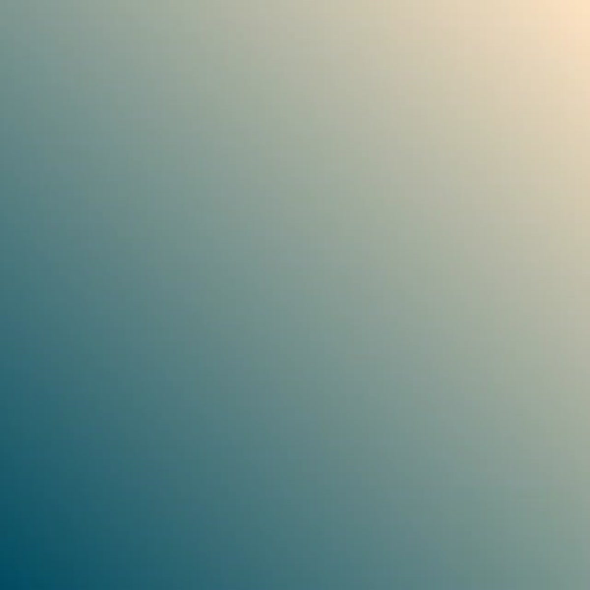 I will make your personal animated explainer video