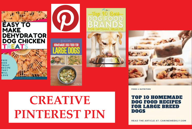 I will design beautiful pinterest pin for targeted traffic