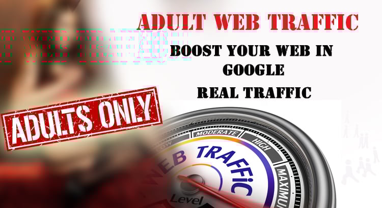 Adult traffic, visitors to your any kind of porn gambling adults website with PBN Backlinks
