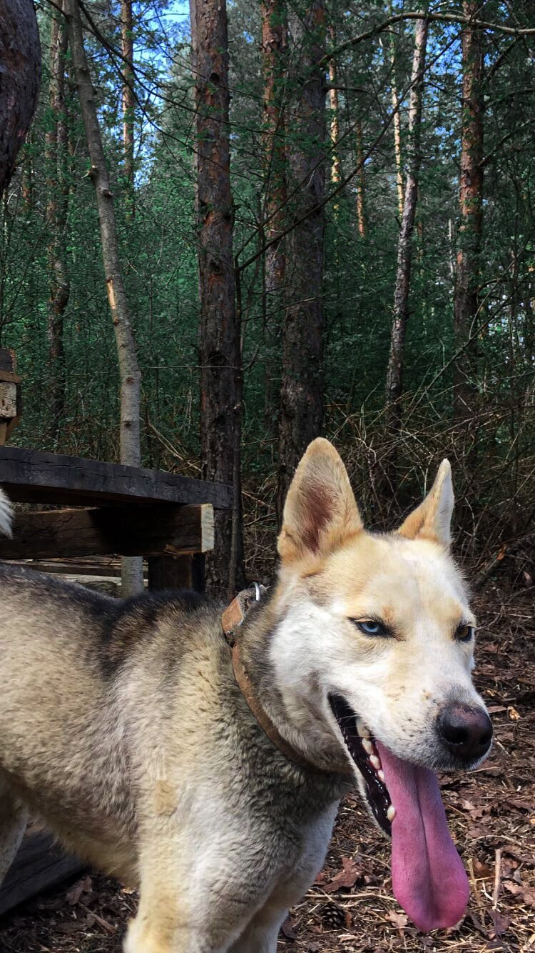 I will edit/retouch your photos and turn them in Pro