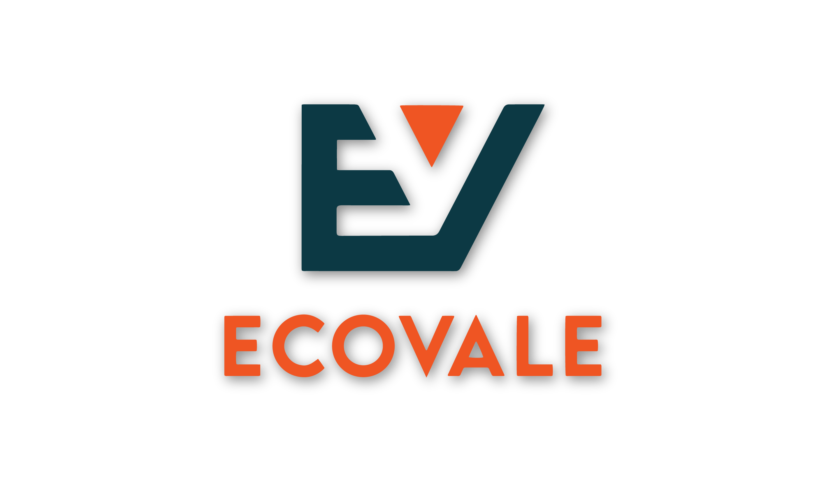  I will Design minimalist Custom logo