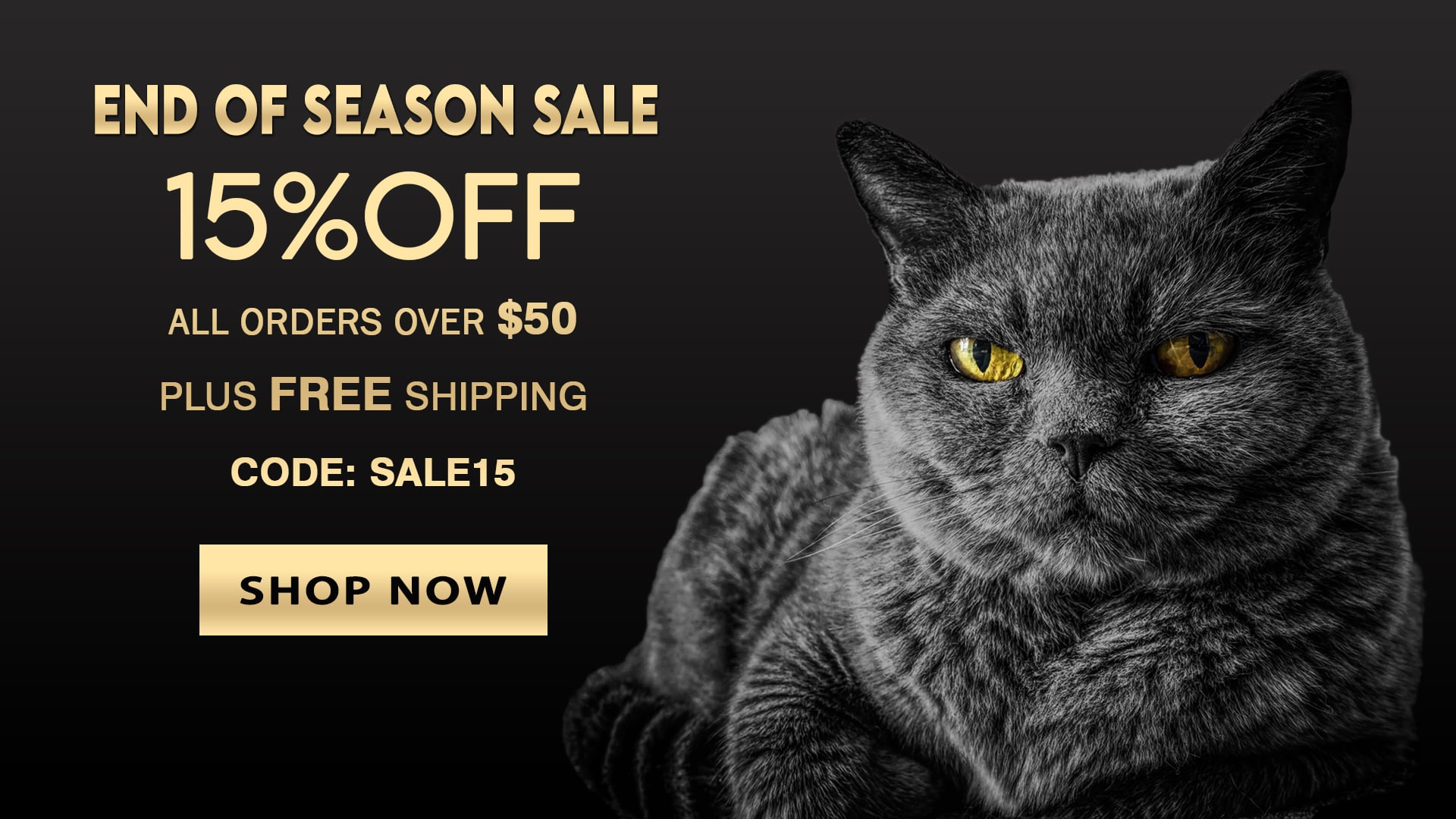 I will design web banner ads for shopify ebay facebook cover