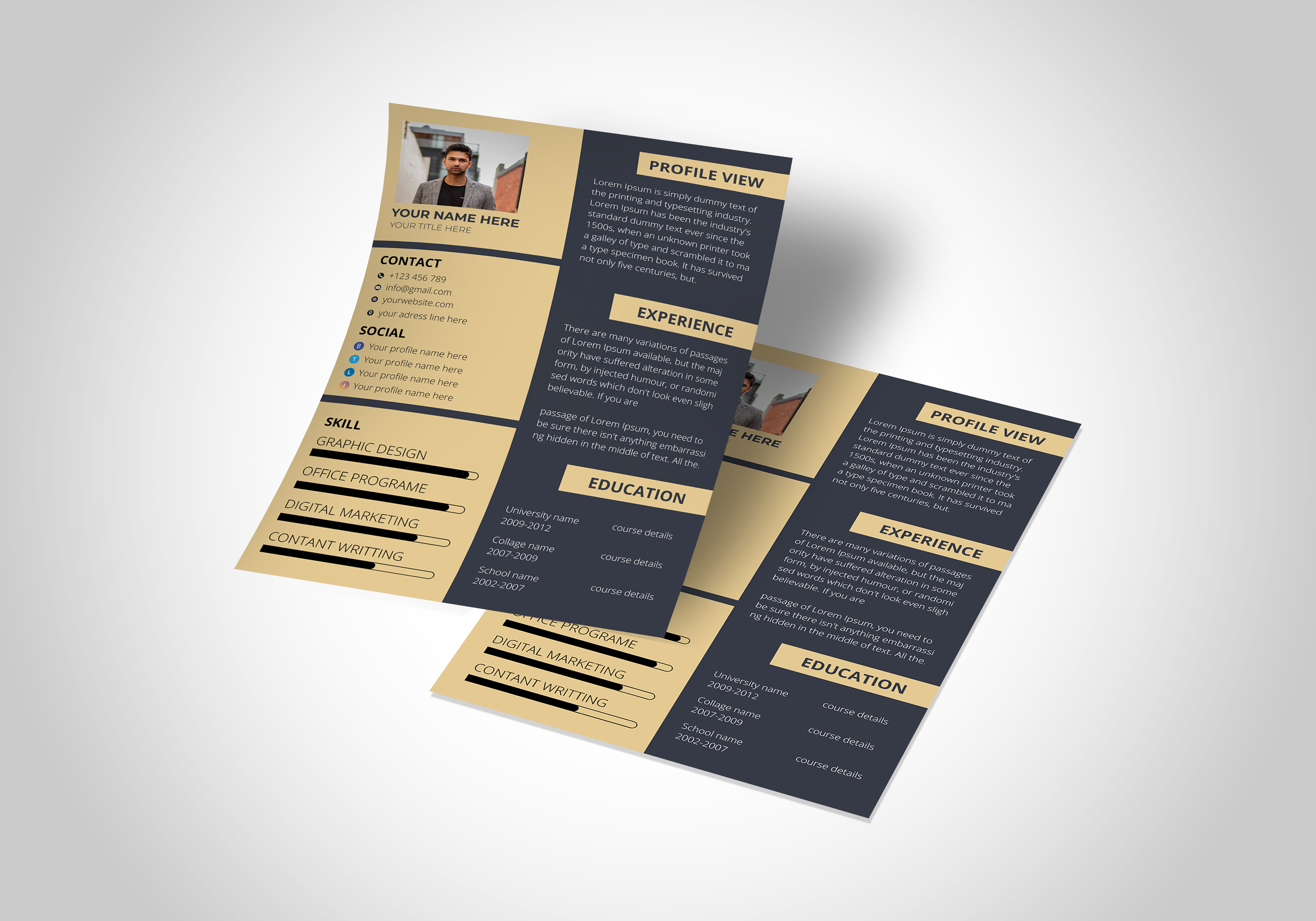 I will design Professional Resume/Cv 