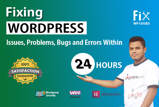 I will fix website errors, elementor bugs, woocommerce errors within 24 hours