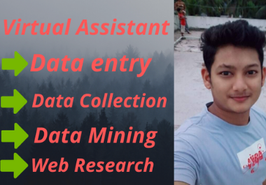 I will be your virtual assistant for data entry,data collection,data mining 