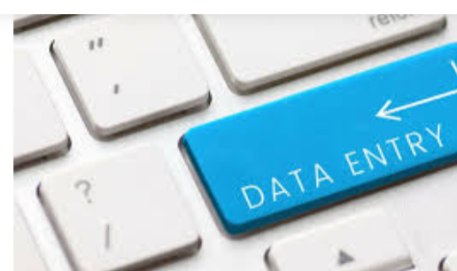 I will do excel data entry,word data entry,copy paste,typing and data entry