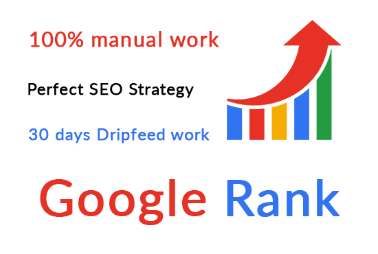 I will provide google ranking full service